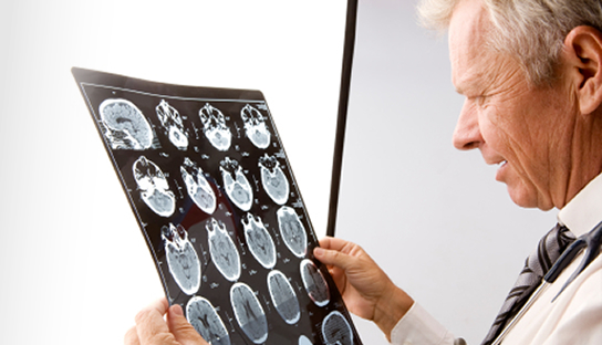 Maxillofacial Reports